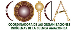 Coordinadora de las Organizaciones Indígenas de la Cuenca Amazónica (COICA)