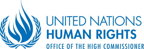 Oficina del Alto Comisionado de las Naciones Unidas para los Derechos Humanos (ONU DDHH)