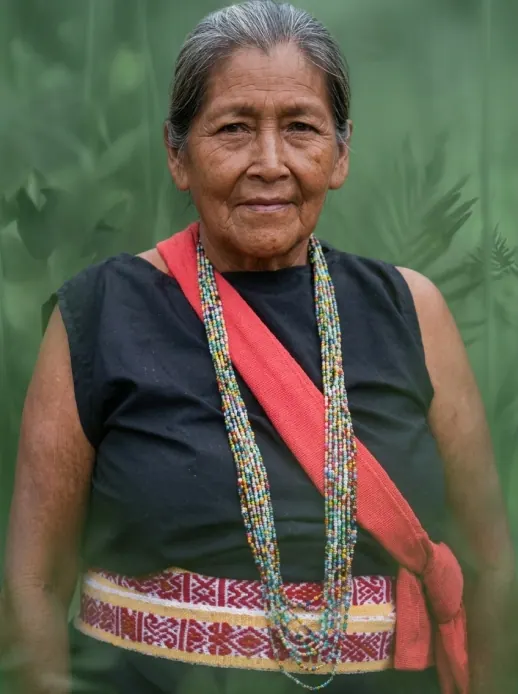 Retrato de una mayor con blusa negra, chumbe, collares de chaquira y banda roja, sobre fondo de selva.