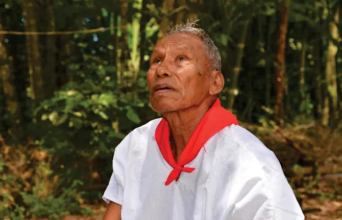 Mayor con camisa blanca y pañuelo rojo mirando hacia arriba en la selva (definición del Plan de Vida).