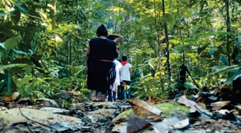 Personas caminando de espaldas por un sendero de selva, una con pañuelo rojo.