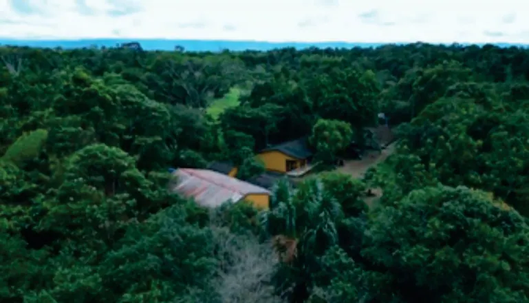 Vista aérea de la selva con casas y techos de zinc del asentamiento (Transformaciones del territorio).