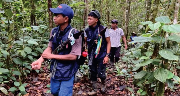 Jóvenes de la guardia (Wasikamas) con chalecos y bastones caminando por la selva.