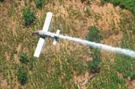 Avioneta fumigando sobre cultivos (línea de tiempo, aspersión aérea).