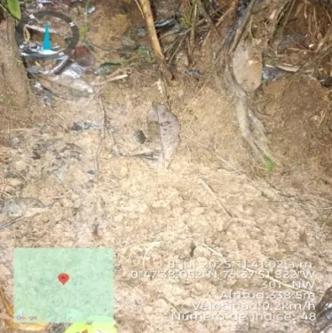Suelo con huellas y sello de geolocalización con fecha, altitud y coordenadas (mamíferos, rastro).