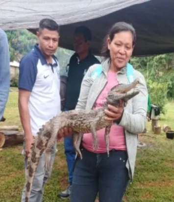 Mujer y dos hombres al aire libre; la mujer sostiene una babilla (reptiles).