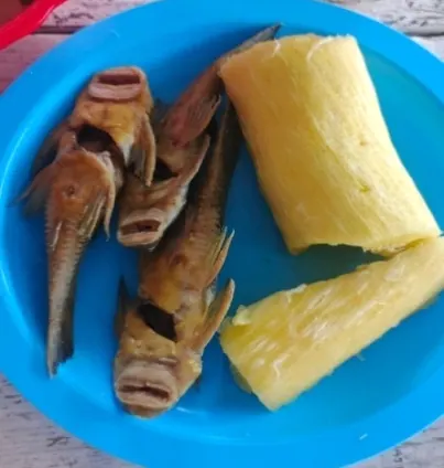 Pescados cocinados (cuchas) con yuca en un plato plástico azul (peces).