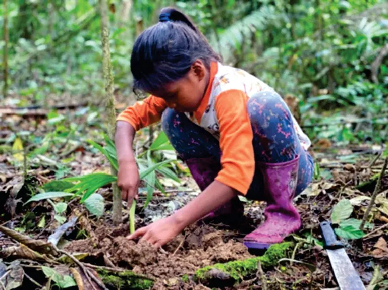 Niña sembrando con las manos en la chagra, con machete al lado (chagras).