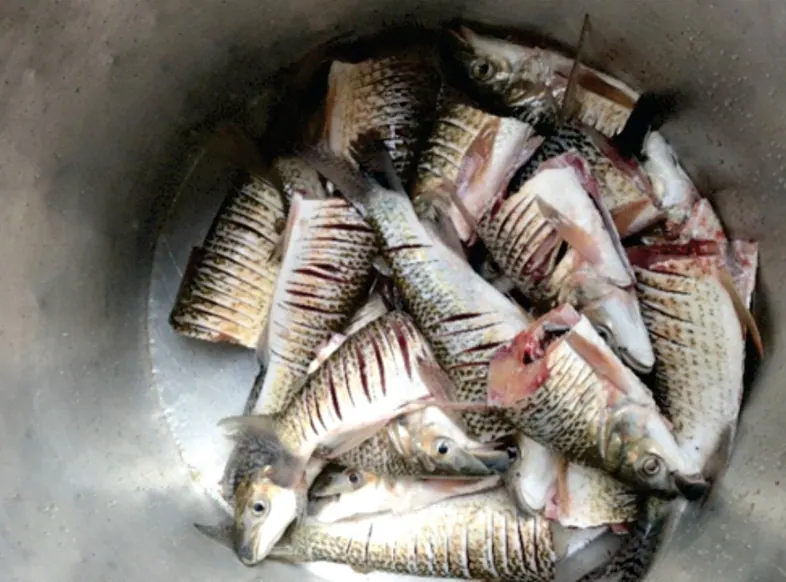 Olla con pescados cortados (pesca, cacería y recolección).