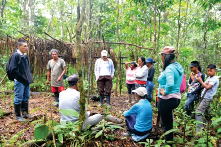 Grupo de pie en círculo en la selva durante un recorrido (enseñanzas de las familias).