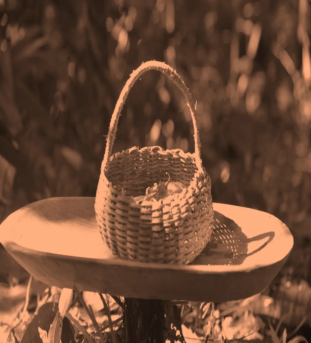 Canasto tejido sobre un plato de madera, en tono sepia (fondo de la portada del capítulo 8, Medios de vida).