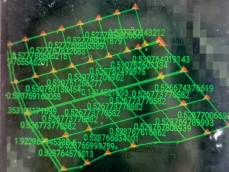 Pantalla de georreferenciación de las parcelas entregadas: retícula verde con puntos y valores numéricos.