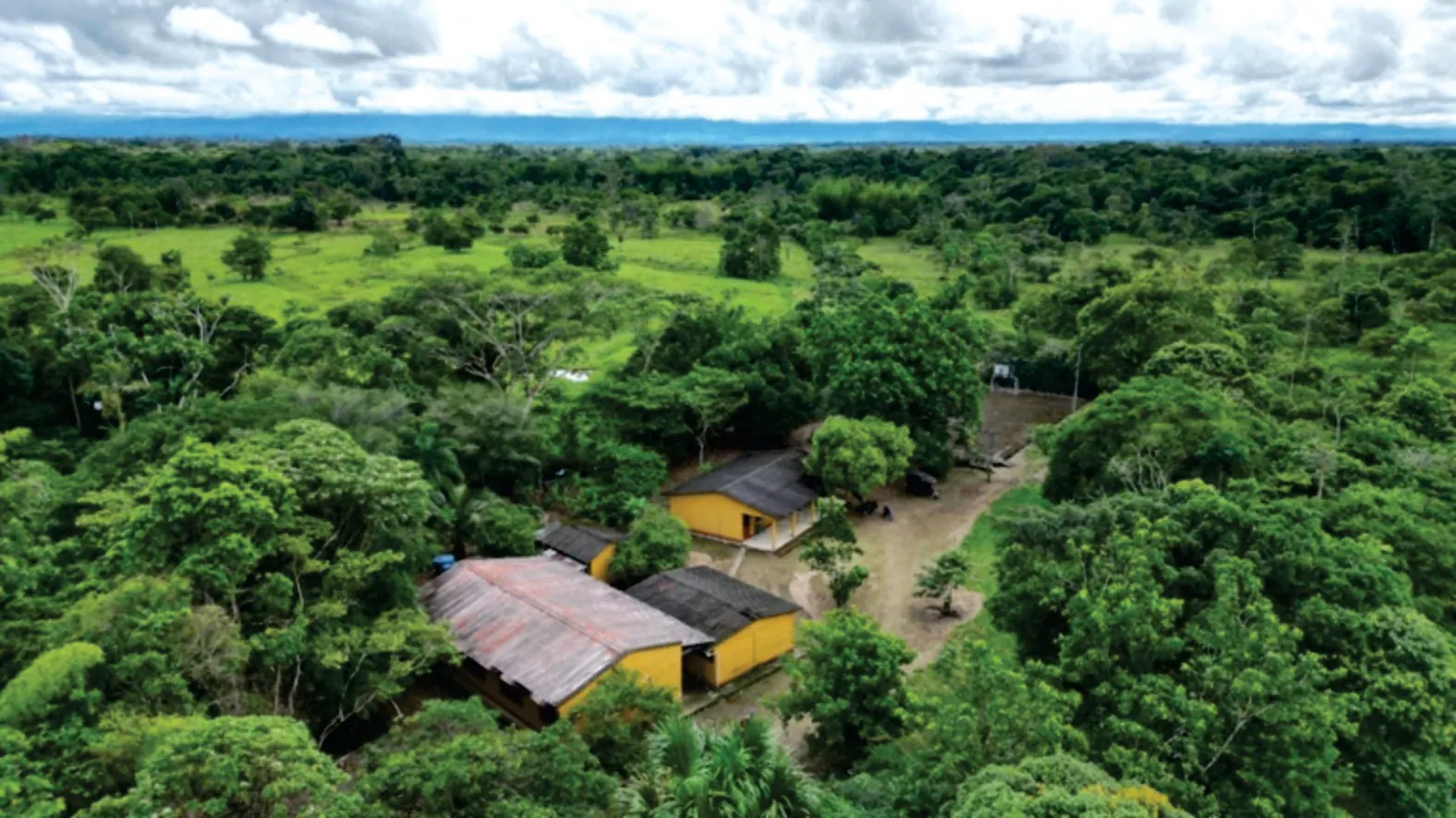 Vista aérea de la selva con casas de techo rojo y amarillo del asentamiento (capítulo 11, Plan de acción).