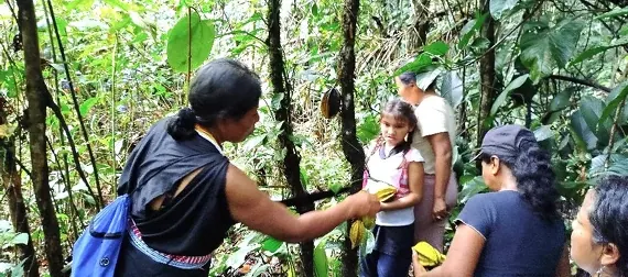 Mujeres recolectando plantas en la selva durante un recorrido.