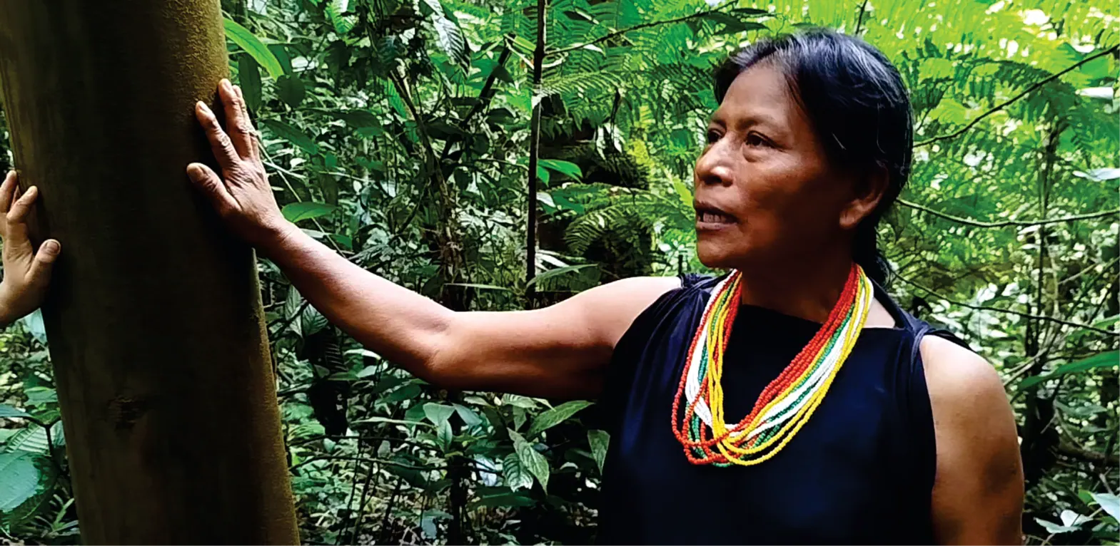 Mujer con collares de chaquira que toca el tronco de un árbol en la selva.