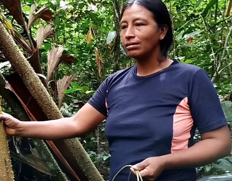 Mujer de pie junto a una palma en la selva.