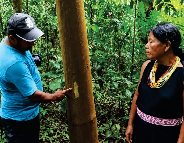 Hombre y mujer con collares junto al tronco de un árbol en la selva.
