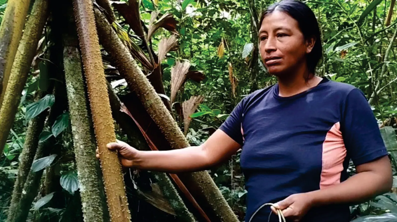 Mujer junto a una palma en la selva (variante de la foto de p27).