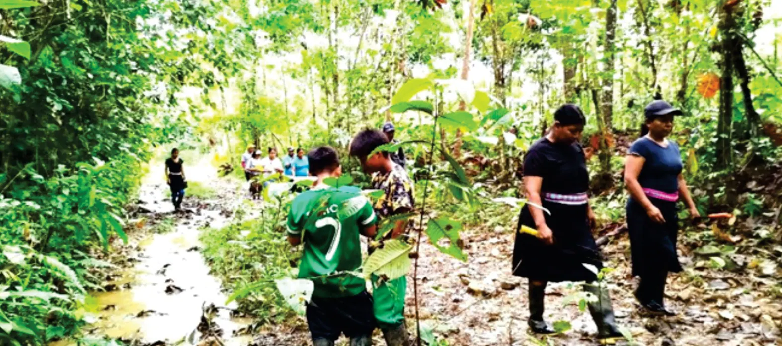 Grupo de personas en un sendero del bosque, algunas con chaleco verde.