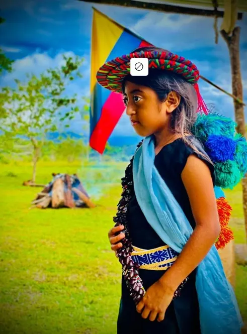 Niña con traje propio y corona tejida, con una bandera de Colombia al fondo.
