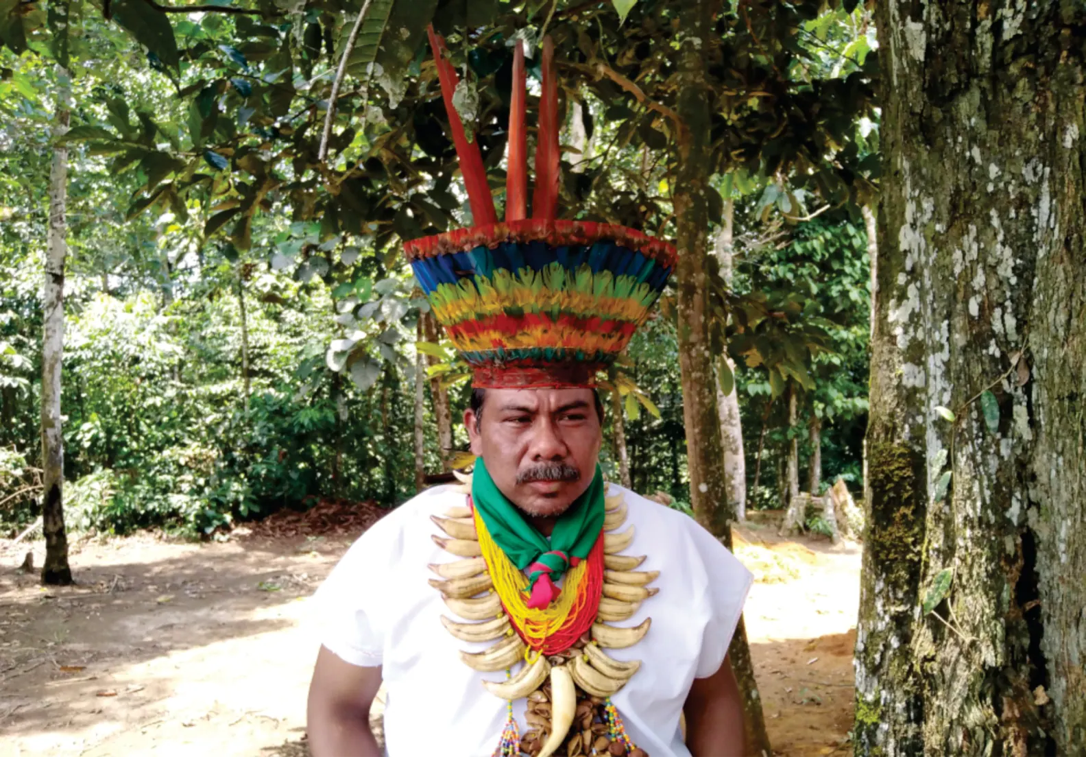 Taita con corona de plumas y collar de colmillos en el bosque.