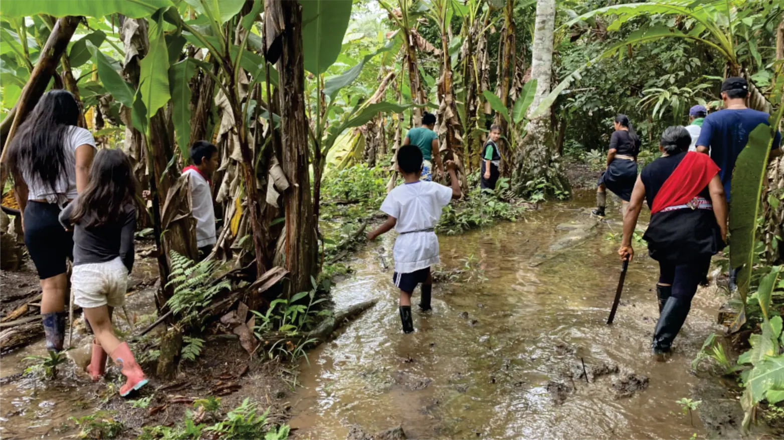Grupo caminando por un sendero con agua entre plantas de plátano.