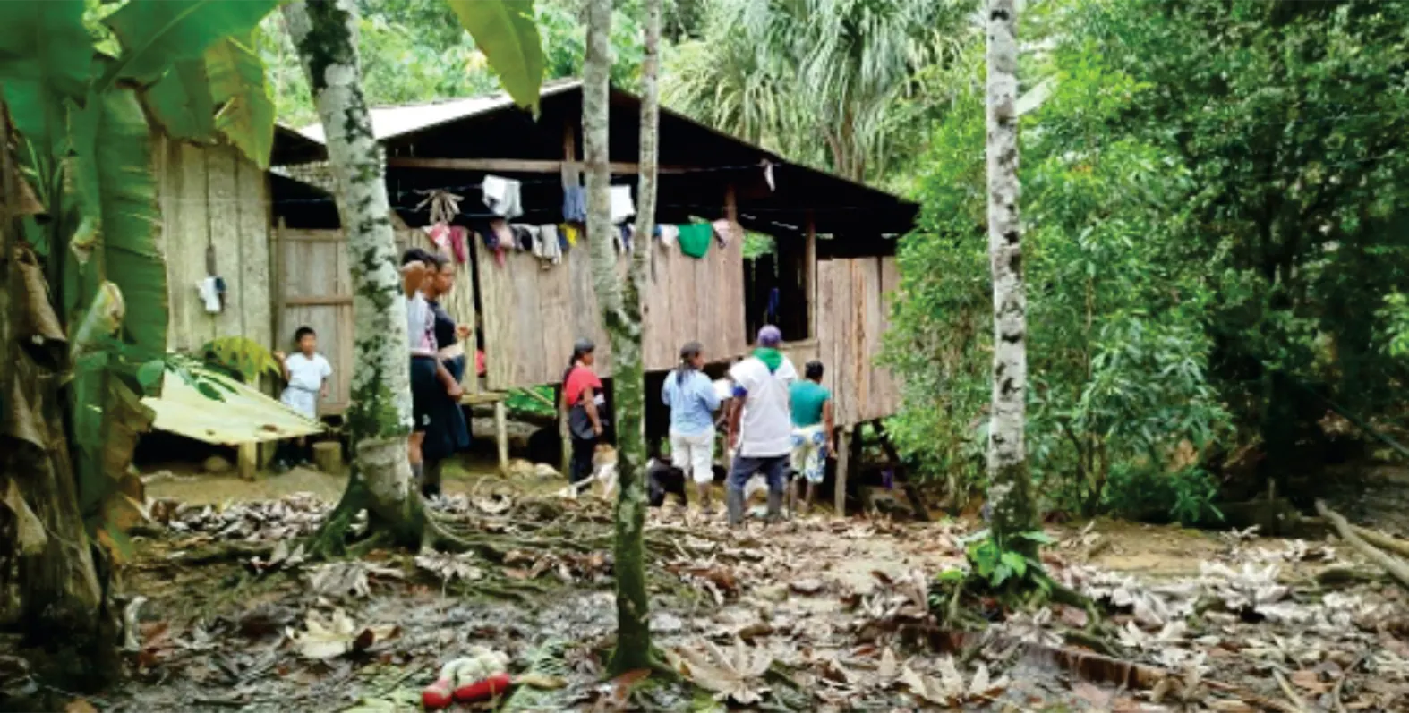 Vivienda de madera elevada en el bosque, con personas alrededor.