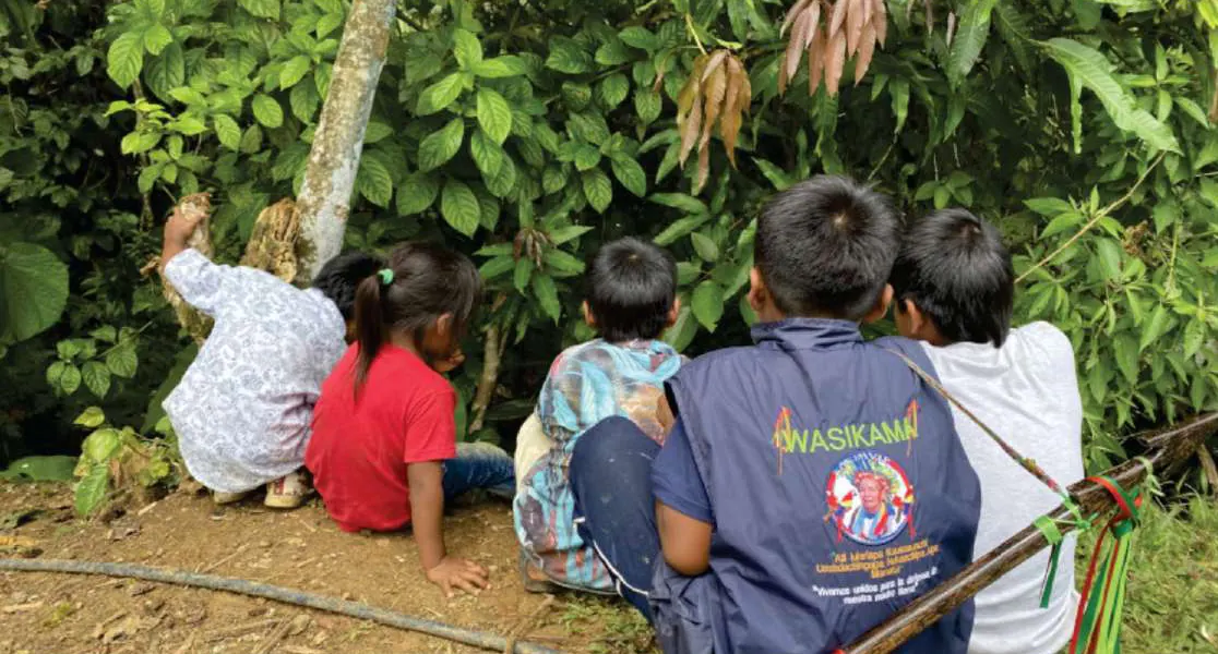Niños sentados en el suelo del bosque observando plantas; uno con chaqueta de «Wasikama».