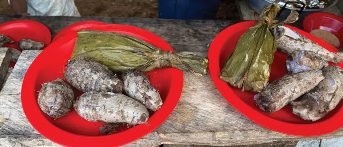 Platos con tubérculos cocidos y envueltos en hoja (platos ancestrales).