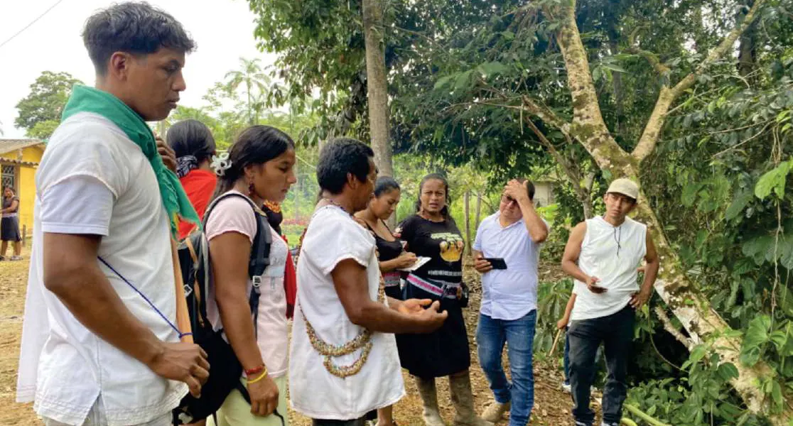 Jóvenes y adultos en un recorrido por el bosque, uno explica con la mano.