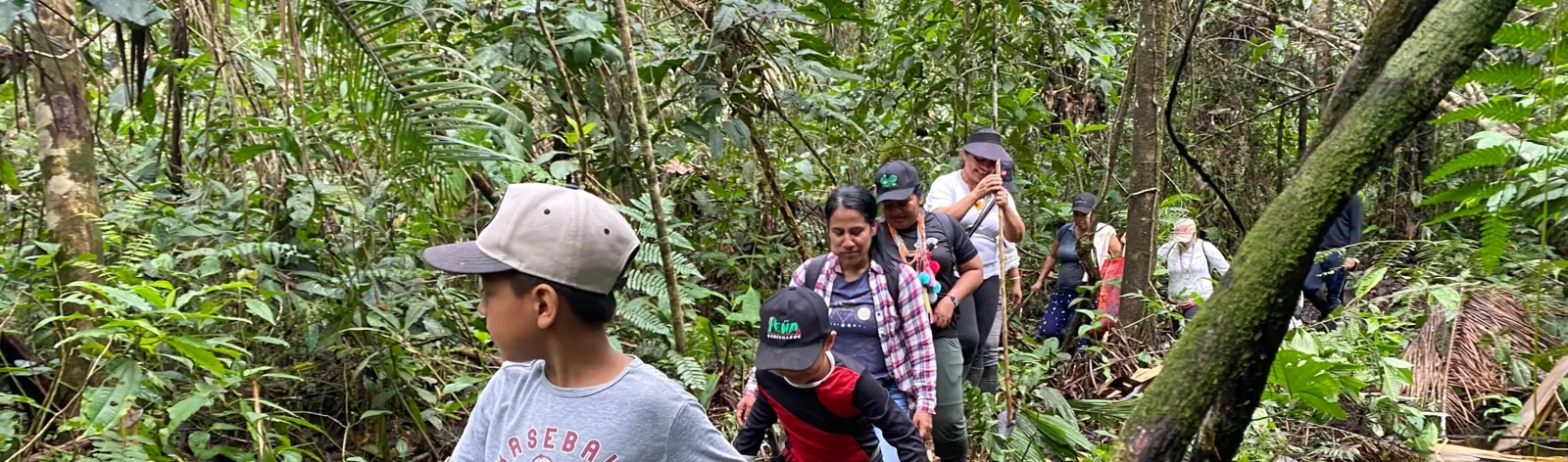 Personas caminando en fila por el bosque durante un recorrido.