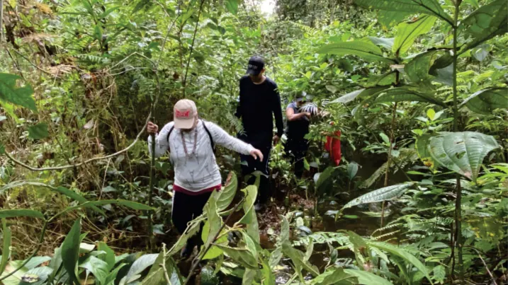 Personas caminando entre la maleza junto a una fuente hídrica.