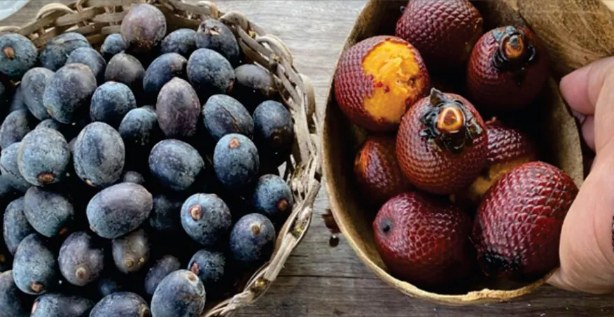 Frutos del territorio: un canasto con frutos morados y un totumo con frutos de cáscara escamosa.