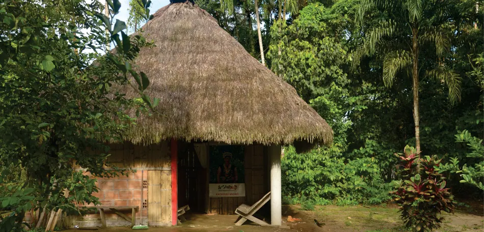 Vivienda tradicional de techo de paja en el bosque.