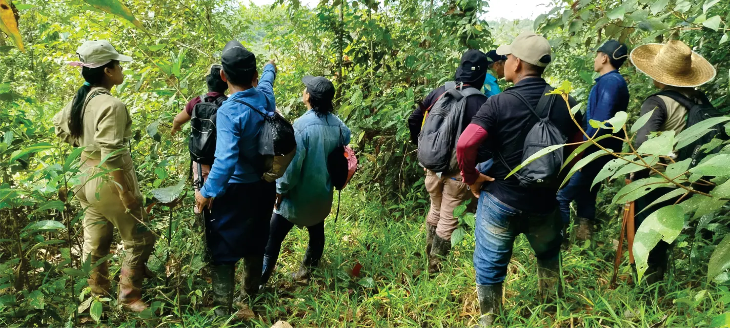 Recorrido territorial: grupo de personas caminando entre vegetación alta.