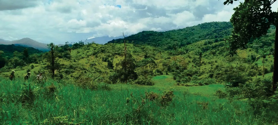 Paisaje de potreros y colinas cubiertas de bosque bajo cielo nublado.
