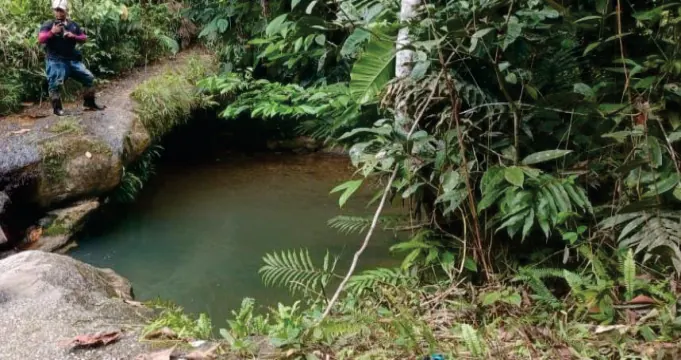 Pozo de agua en una quebrada rodeado de vegetación; una persona al fondo sobre las rocas.
