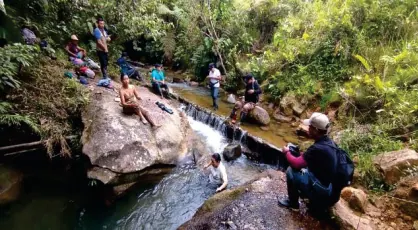 Personas sobre las rocas de una quebrada en el bosque.