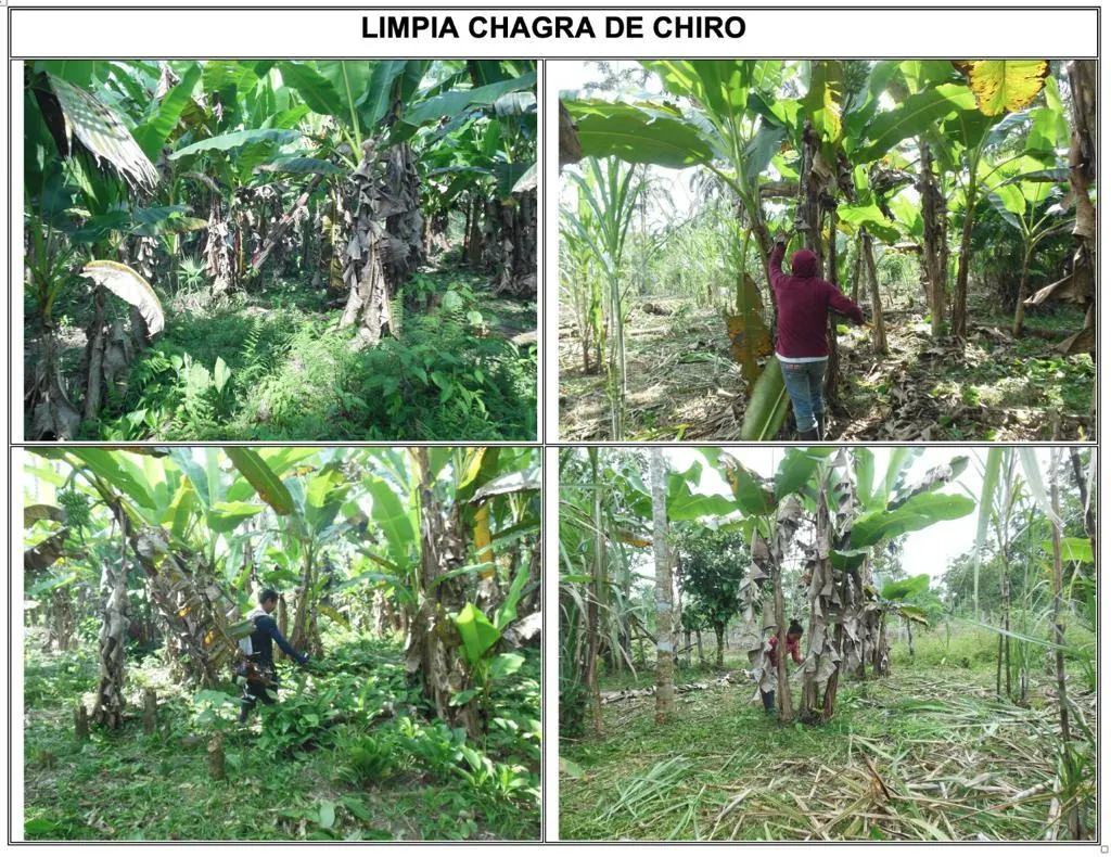 Imagen de la página 30 del Plan de Vida