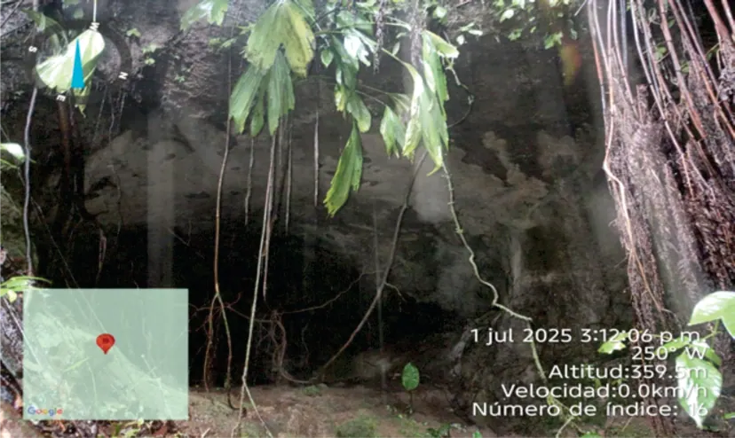 Roca cubierta de raíces y vegetación, con marca de geolocalización.