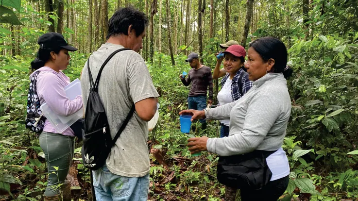 Personas en el bosque revisando plantas, una de ellas con un recipiente azul.