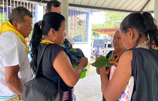 Personas intercambiando plantas medicinales.