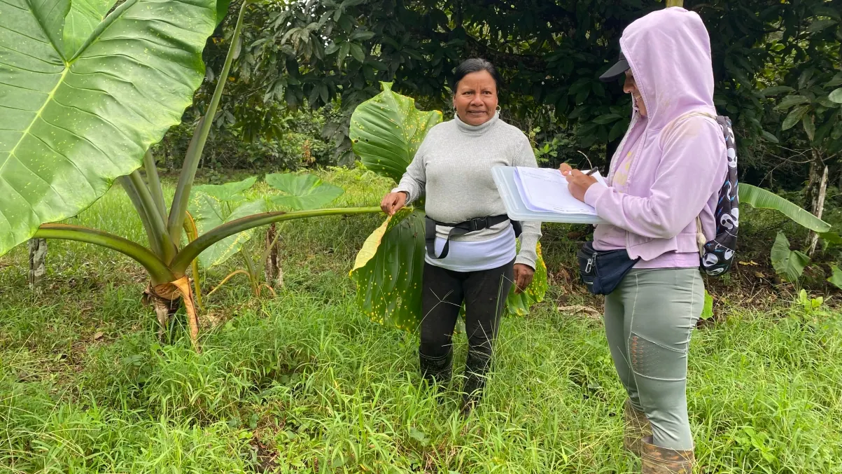 Dos mujeres en una chagra entre plantas de hojas grandes, una tomando notas.