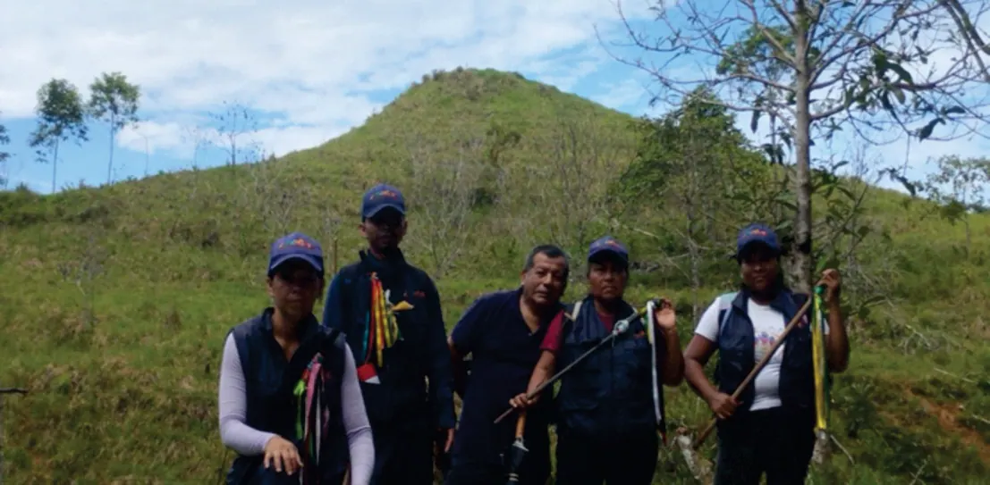 Grupo de Wasikamas en una colina.