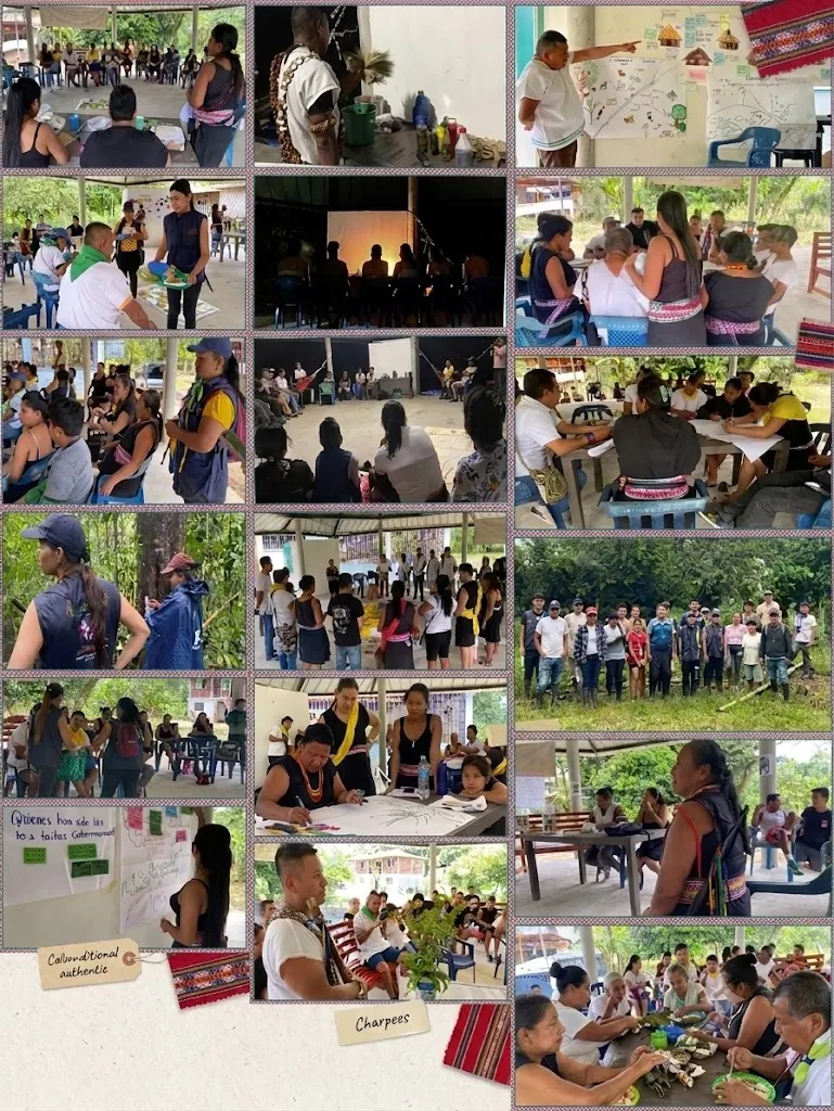 Collage de fotos de talleres y reuniones de la construcción del Plan de Vida.