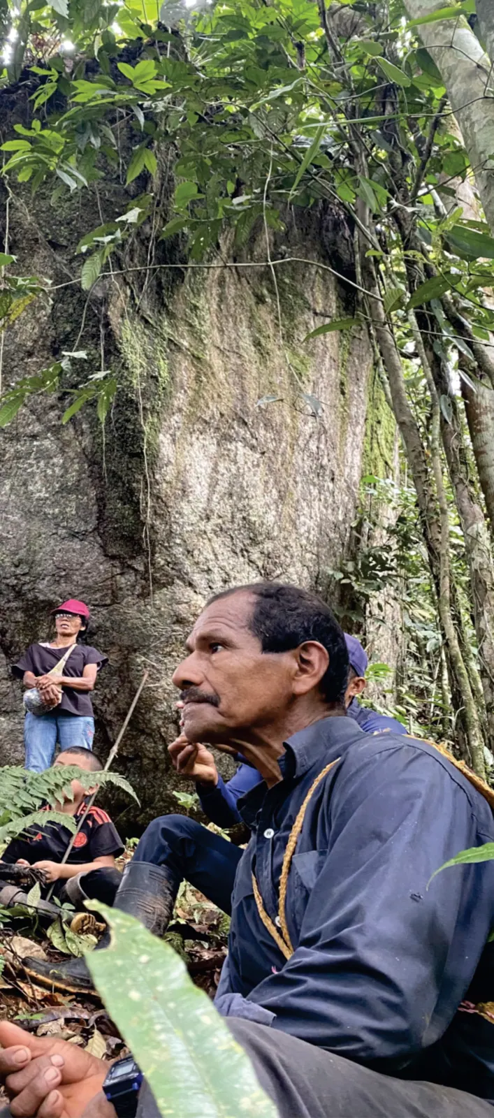 Mayor sentado en el bosque junto al tronco de un árbol grande; personas al fondo.