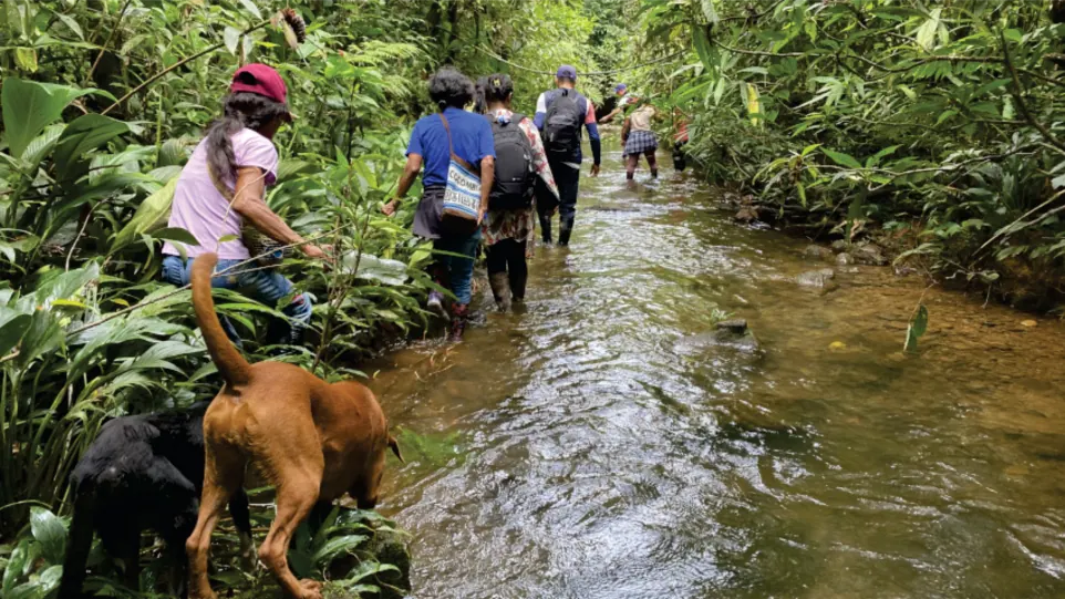 Recorrido por una quebrada: personas caminando en el agua con un perro.