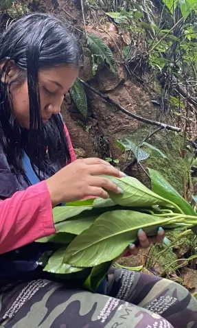 Joven sosteniendo un manojo de plantas en el monte.