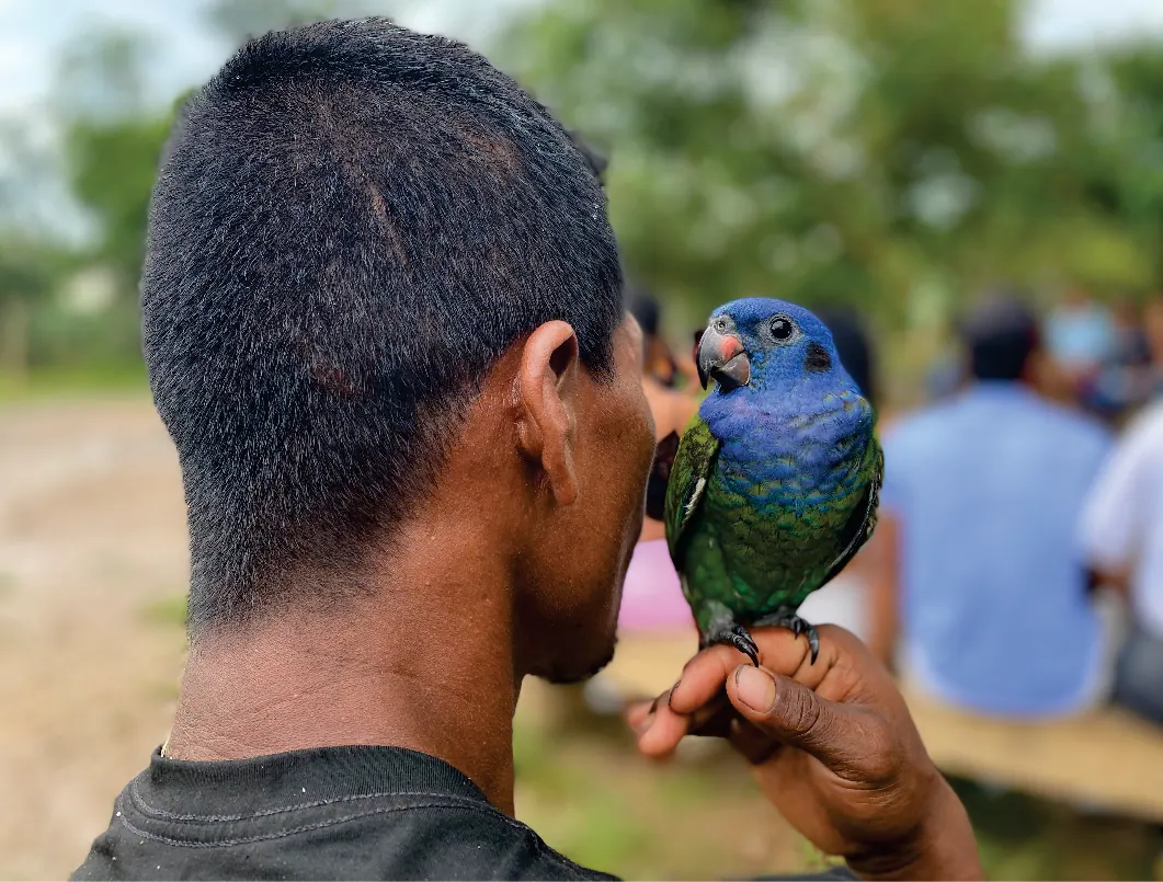 Hombre de espaldas con un loro en la mano.